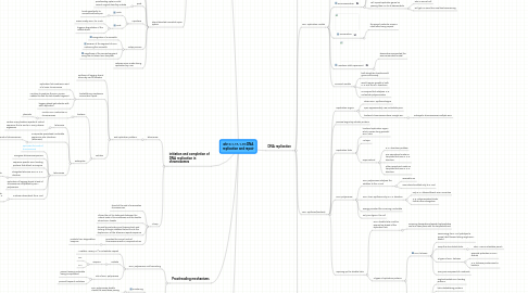 Mind Map: wk10-1.17-1.18:DNA replication and repair