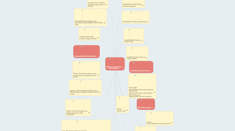 Mind Map: Estructura Corporal del Cuerpo Humano