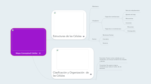 Mind Map: Mapa Conceptual Celular