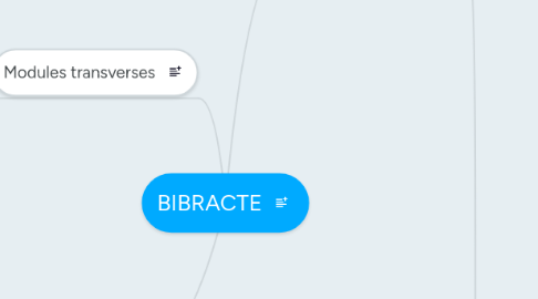 Mind Map: BIBRACTE