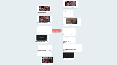 Mind Map: 14 Categories of Disability Under IDEA