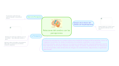 Mind Map: Relaciones del cerebro con las percepciones