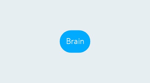 Mind Map: Brain