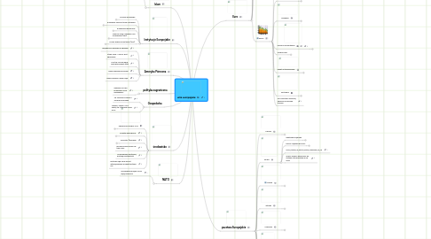 Mind Map: unia europejska