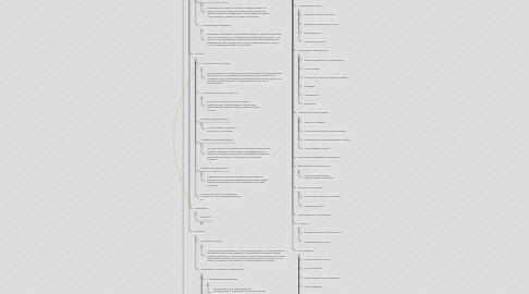 Mind Map: LIBRO DE LOS MEDIUMS