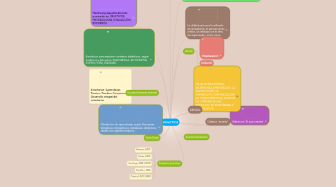 Mind Map: DIDACTICA