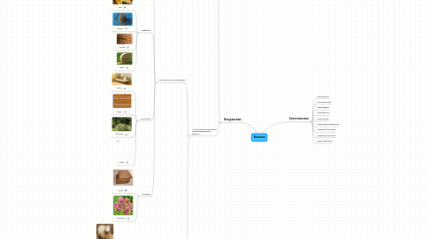 Mind Map: Волокна