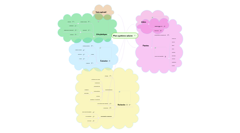 Mind Map: Mon système solaire