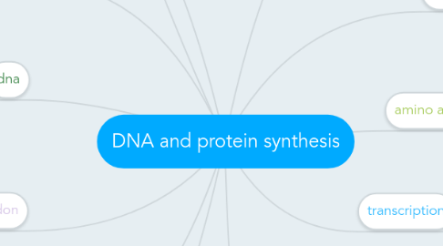 Mind Map: DNA and protein synthesis