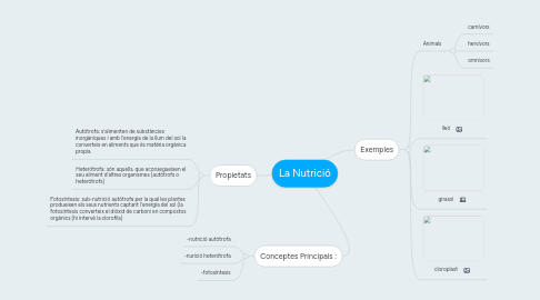 Mind Map: La Nutrició