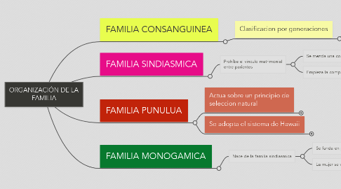 Mind Map: ORGANIZACIÓN DE LA FAMILIA