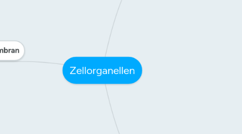 Mind Map: Zellorganellen