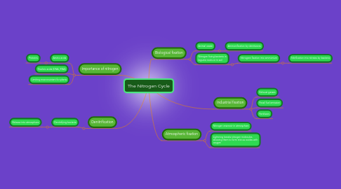 Mind Map: The Nitrogen Cycle