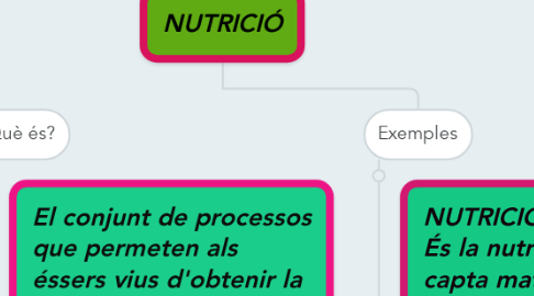 Mind Map: NUTRICIÓ