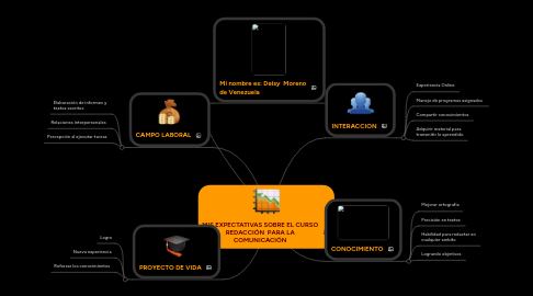 Mind Map: MIS EXPECTATIVAS SOBRE EL CURSO REDACCIÓN  PARA LA COMUNICACIÓN