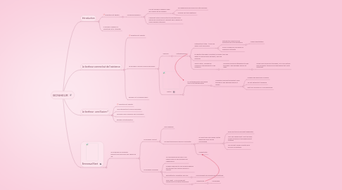 Mind Map: BONHEUR