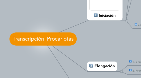 Mind Map: Transcripción  Procariotas