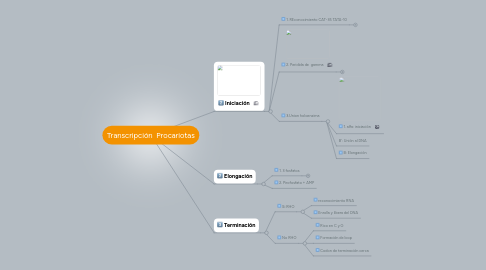 Mind Map: Transcripción  Procariotas