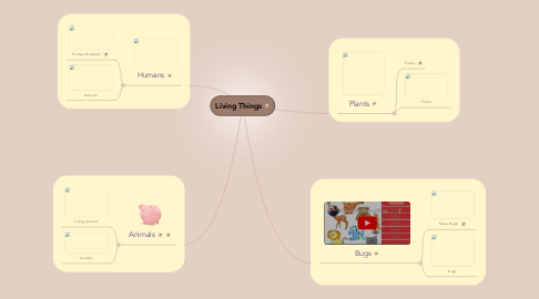 Mind Map: Living Things