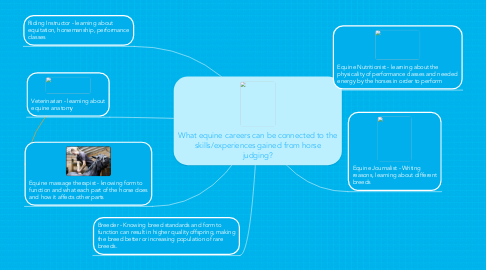 Mind Map: What equine careers can be connected to the skills/experiences gained from horse judging?