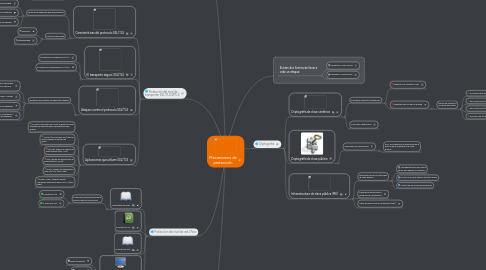 Mind Map: Mecanismos de protección