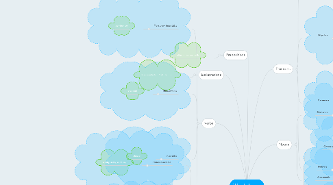 Mind Map: Word classes
