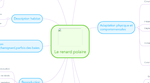 Mind Map: Le renard polaire