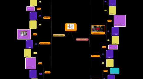 Mind Map: Student Assessments