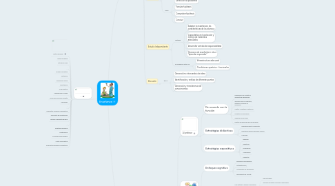 Mind Map: Enseñanza