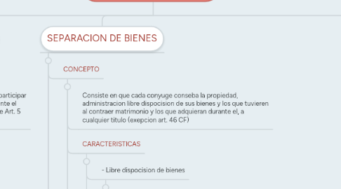 Mind Map: REGIMEN PATRIMONIAL DEL MATRIMONIO