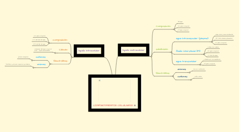 Mind Map: COMPARTIMIENTOS CELULARES