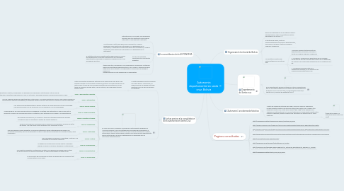 Mind Map: Autonomia departamental en santa cruz, Bolivia