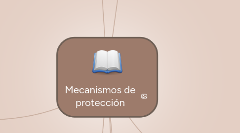 Mind Map: Mecanismos de protección