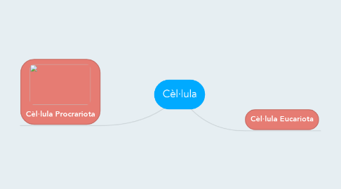 Mind Map: Cèl·lula