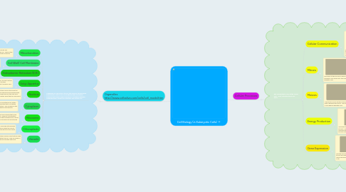 Mind Map: Cell Biology (in Eukaryotic Cells)