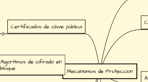 Mind Map: Mecanismos de Proteccion