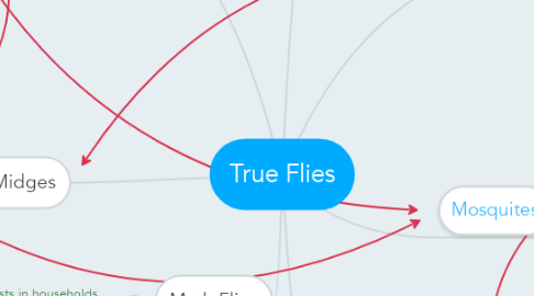 Mind Map: True Flies