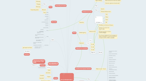 Mind Map: visies op onderwijsinnovatie