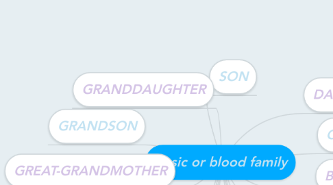 Mind Map: Basic or blood family