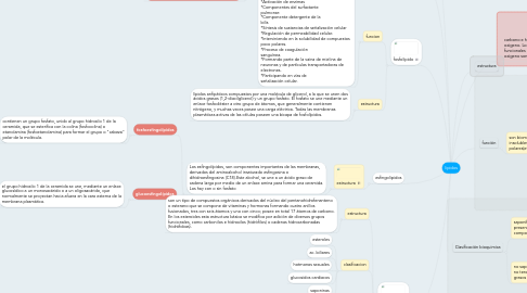 Mind Map: lipidos