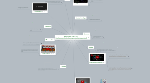 Mind Map: Main Parts of Plant Cells     http://www.enchantedlearning.com/subjects/plants/cell/