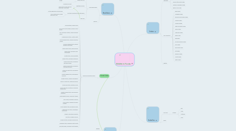 Mind Map: Wildlife In Florida