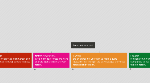 Mind Map: Amazon RainForest