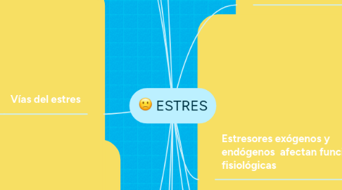 Mind Map: ESTRES