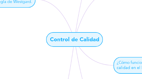 Mind Map: Control de Calidad