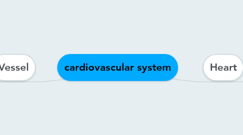 Mind Map: cardiovascular system