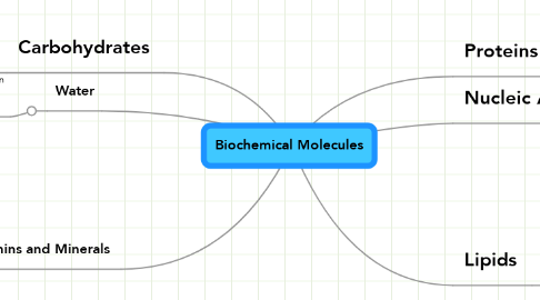 Mind Map: Biochemical Molecules