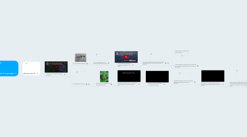 Mind Map: life cycle of a pumpkin