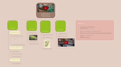 Mind Map: Useful Plants in Papermaking