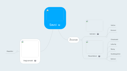 Mind Map: Savci